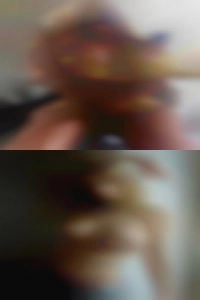 VA ebony sexy horny singles.